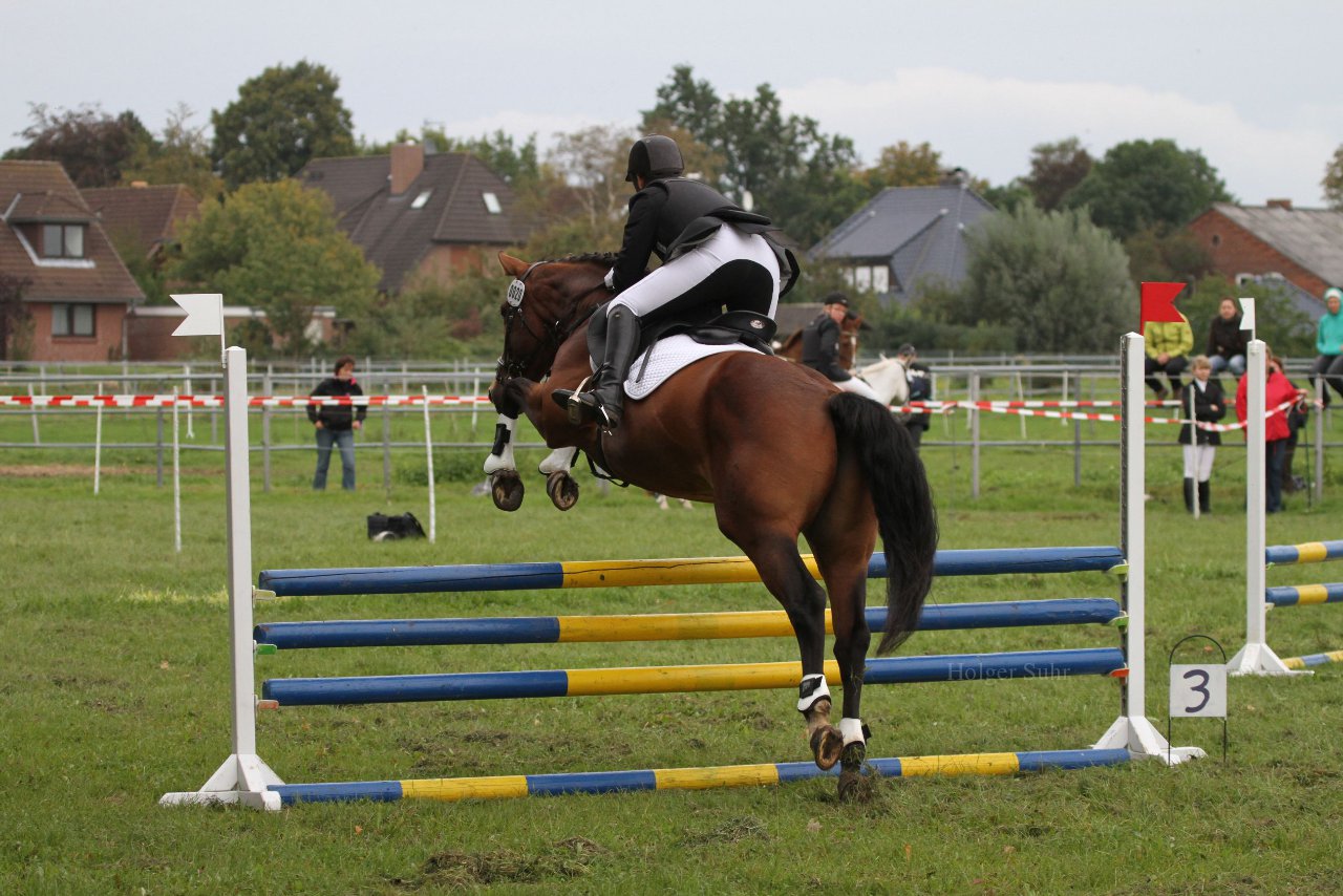 Bild 1446 - WBO-Turnier am 18.9.11